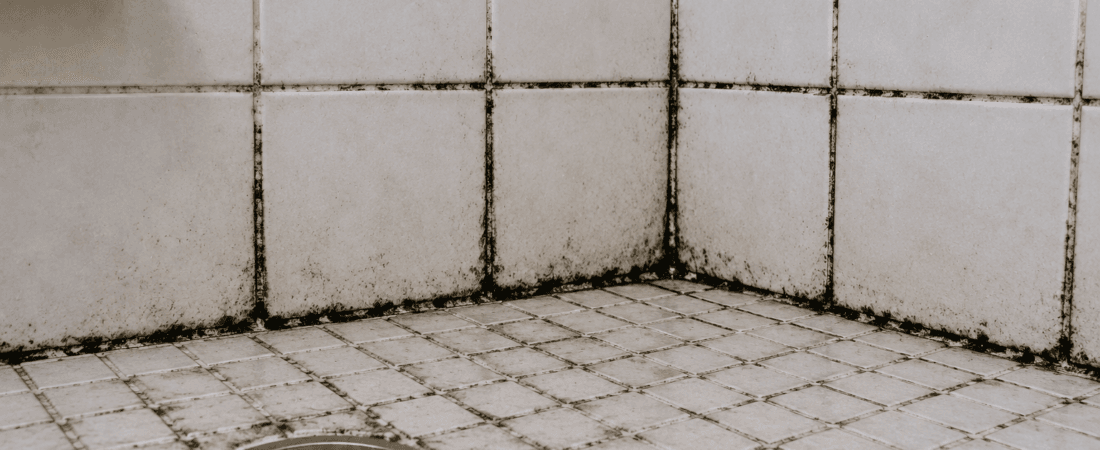 Why Is My Grout Turning Black?